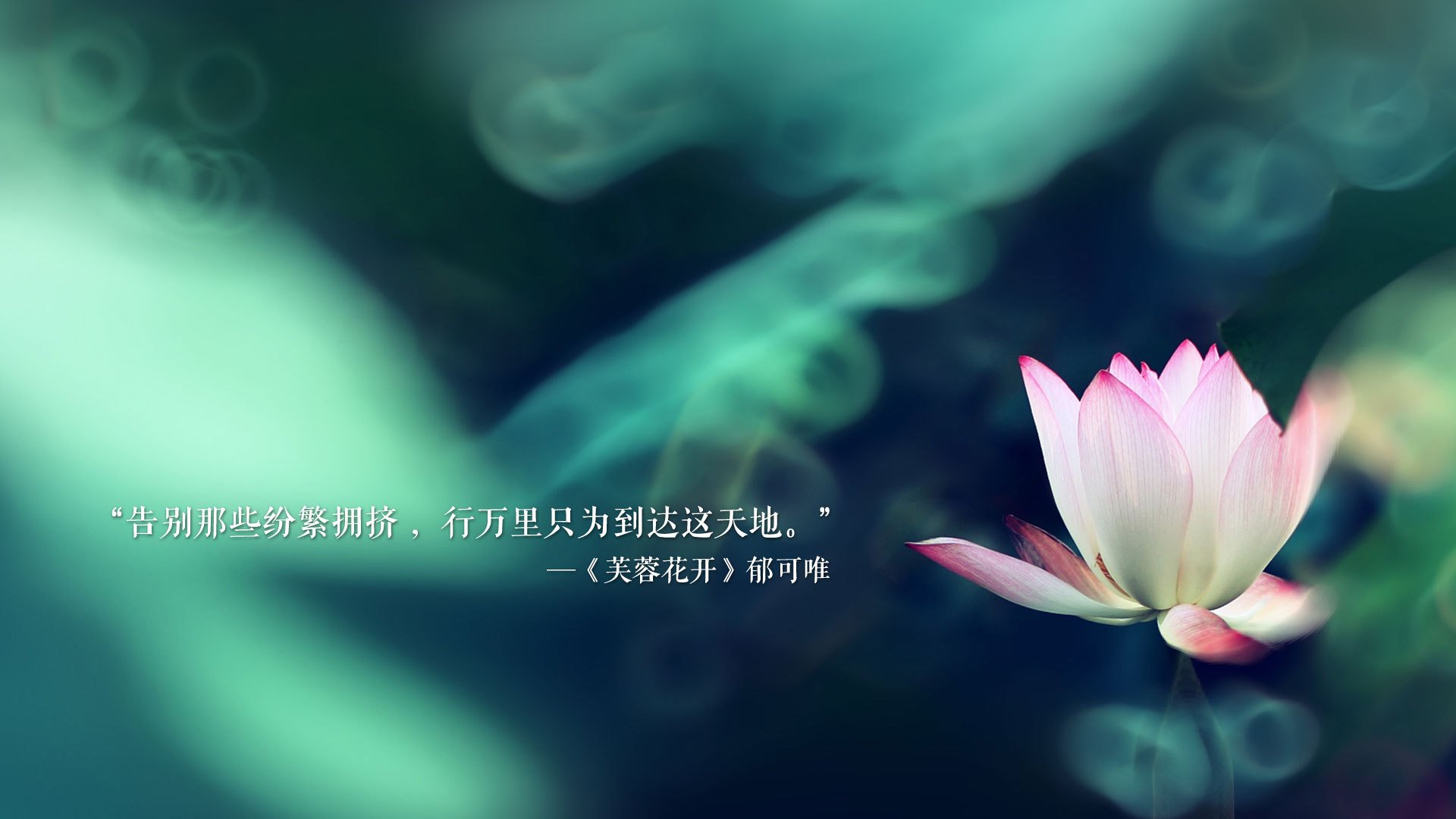 2026世界杯抢断王候选:坎特接班人都有谁?,坎特拿过世界杯吗